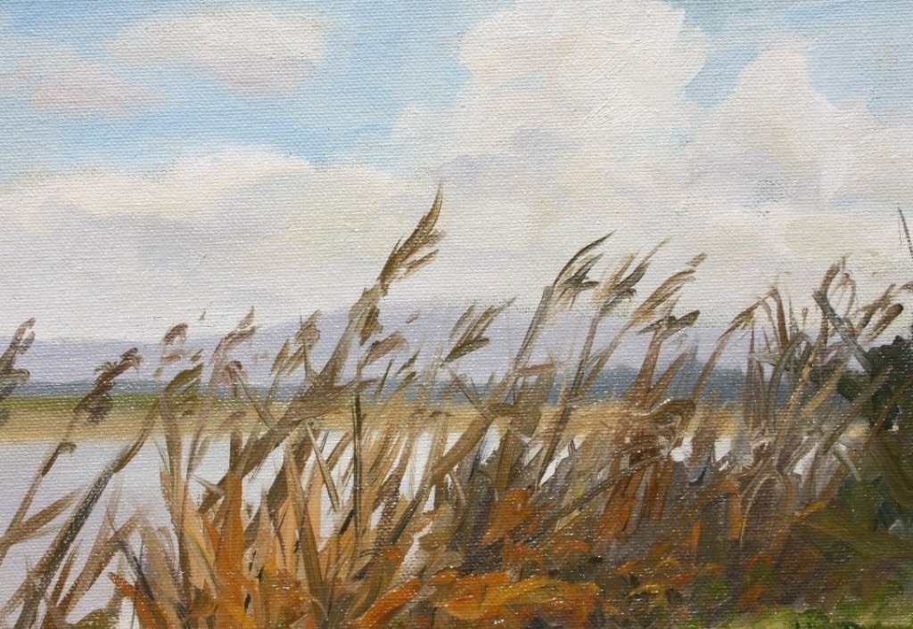 Autumn Reeds